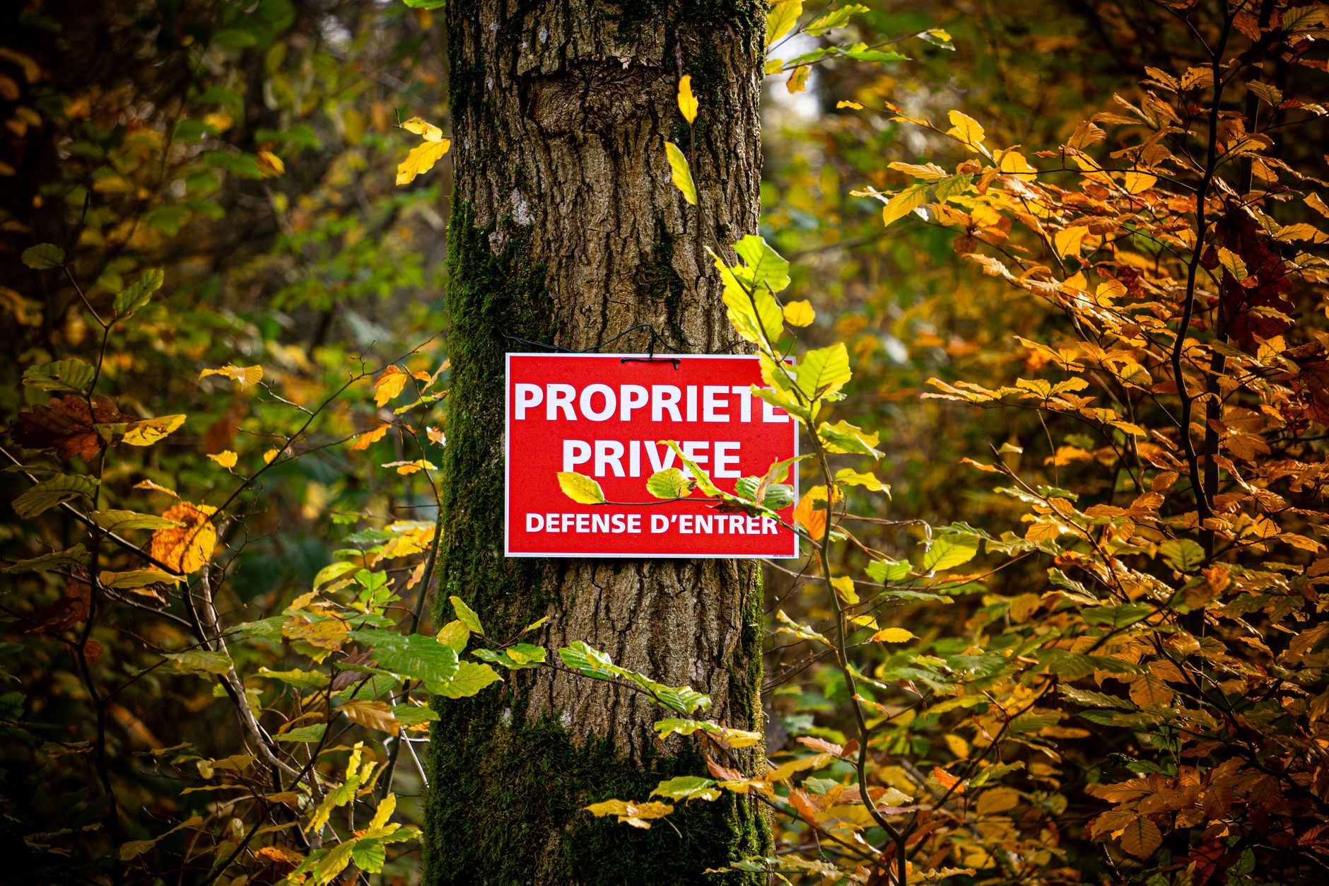 Détective privé à Fontenay-sous-Bois